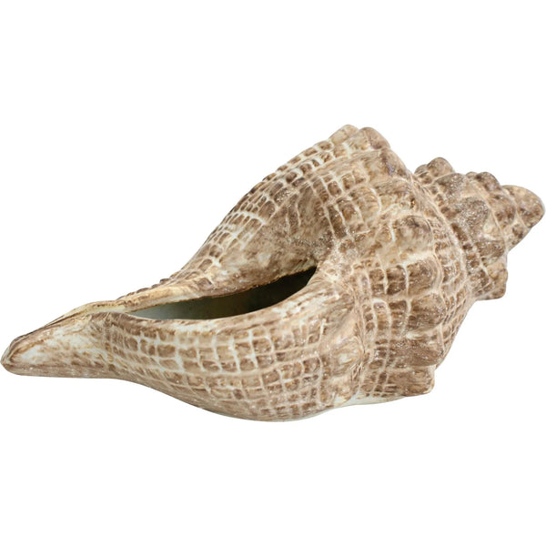 Rustic Conch Shell