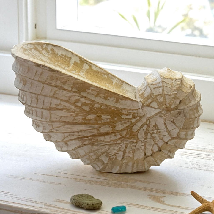 Free standing white wash shell decor for coastal or coastal boho home