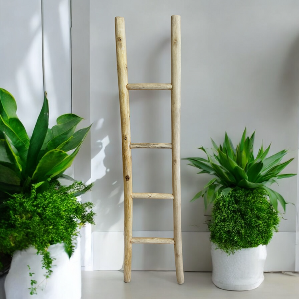 Teak Ladder