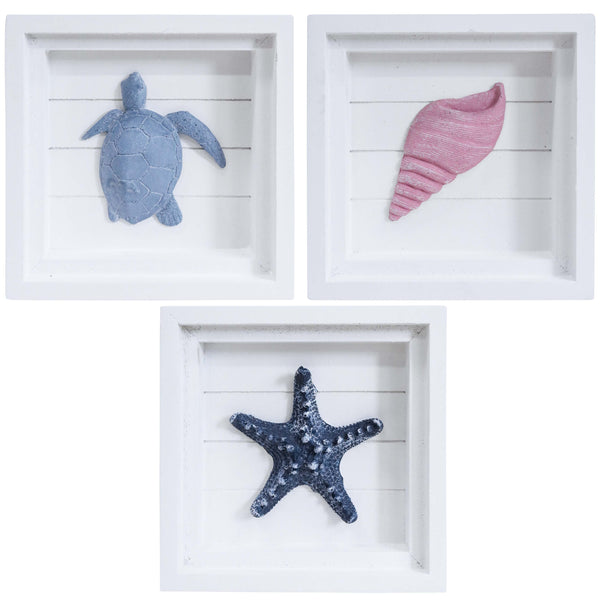 three decorative frames with a turtle, shell, and starfish on a white background