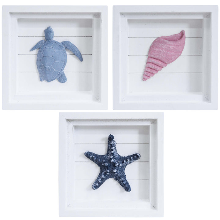 three decorative frames with a turtle, shell, and starfish on a white background