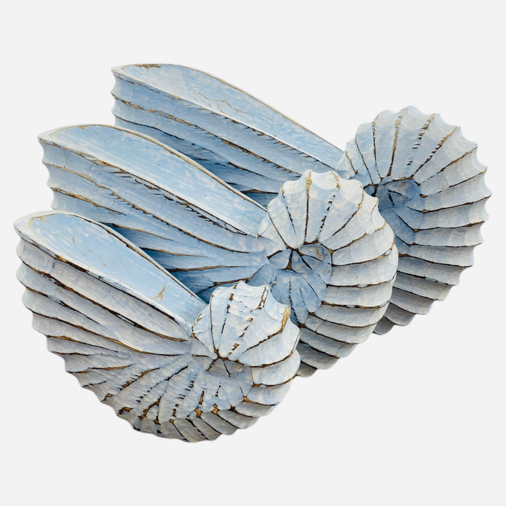 Decorative shell decor in a soft blue finish. Coastal themed decor
