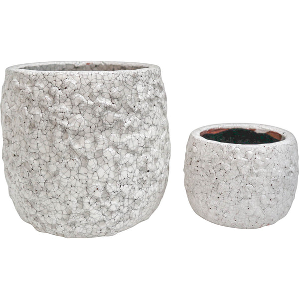 Pot Petals