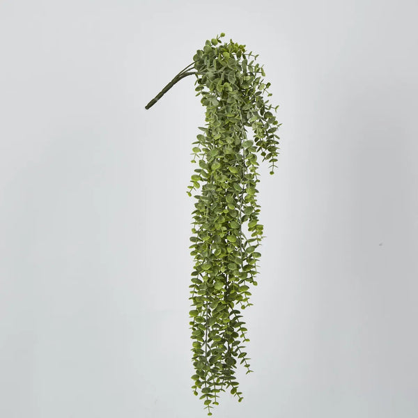 Green Eucalyptus Hanging Bush