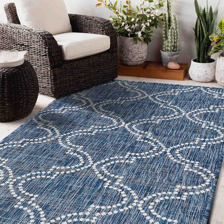 Blue patterned rug in a room with wicker furniture and plants.