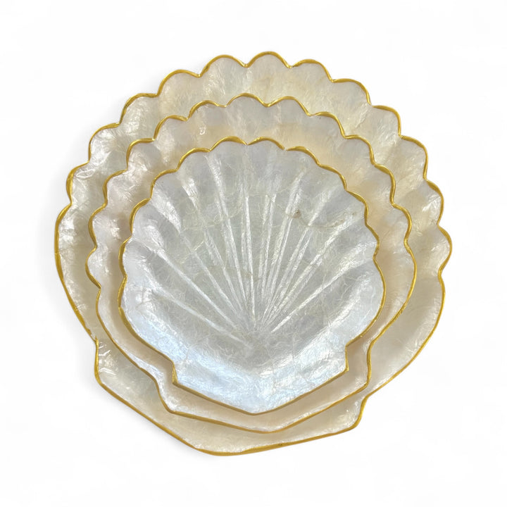Flat lay of mother of pearl scallop dish – ideal gift for coastal décor lovers or beach house styling.