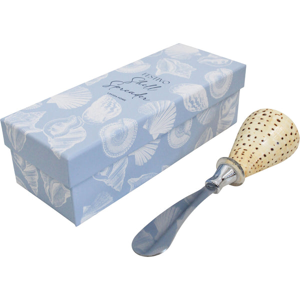Large coastal shell spreader, stainless steel cheese spreader with natural shell handle and sea-inspired gift box, ideal for entertaining and gifting