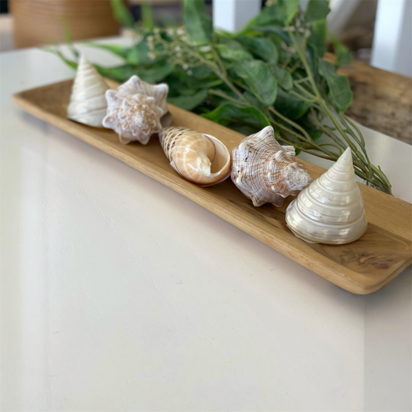 Teak wood serving tray for appetisers