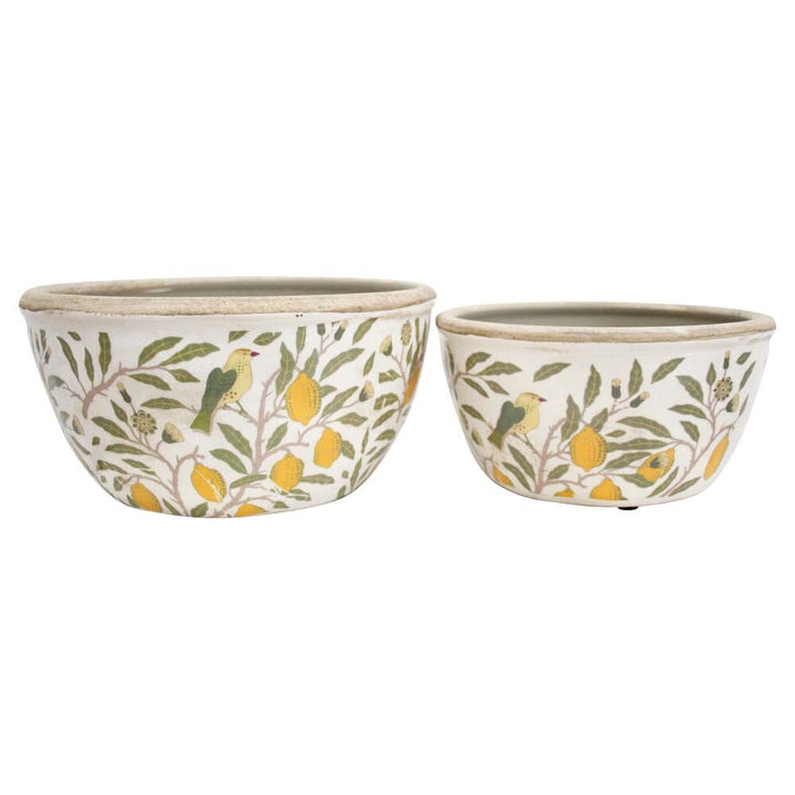 Two ceramic planters with a vintage lemon and leaf pattern on a white background