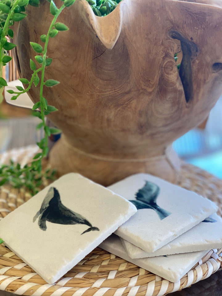 Set of four square coaster with whale signs on a white background