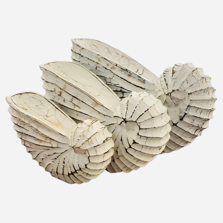 Free standing white wash timber shell decor, perfect for console table, side board or bathroom decor in a coastal home