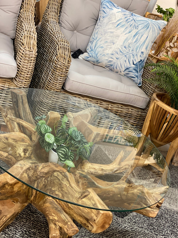 Teak Root Coffee Table